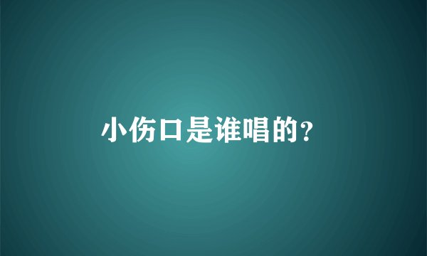 小伤口是谁唱的？