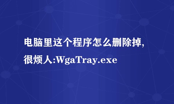 电脑里这个程序怎么删除掉,很烦人:WgaTray.exe