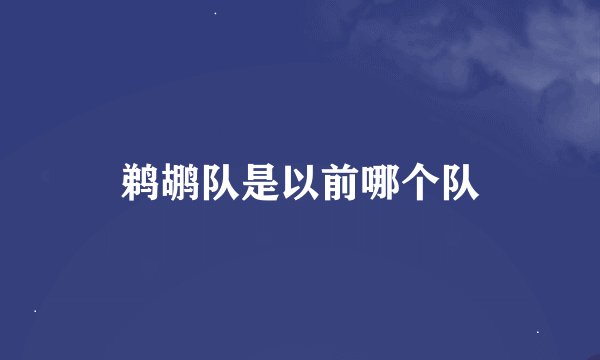 鹈鹕队是以前哪个队