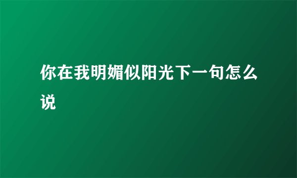 你在我明媚似阳光下一句怎么说