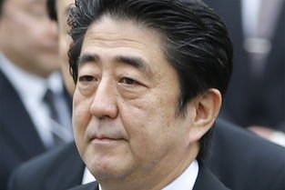 有人说安倍晋三没有子嗣,对安倍家族来说影响很大,这话对吗?