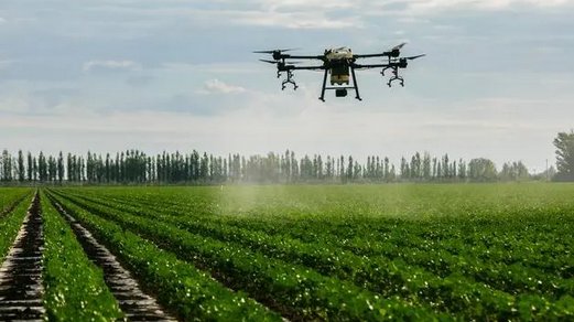 上海市已抢种蔬菜面积达8万多亩，这个数据说明了什么？