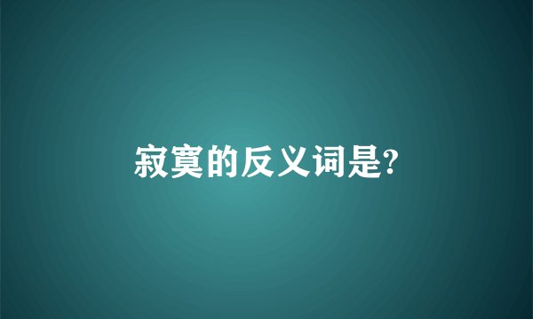 寂寞的反义词是?