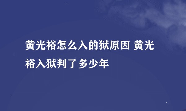 黄光裕怎么入的狱原因 黄光裕入狱判了多少年