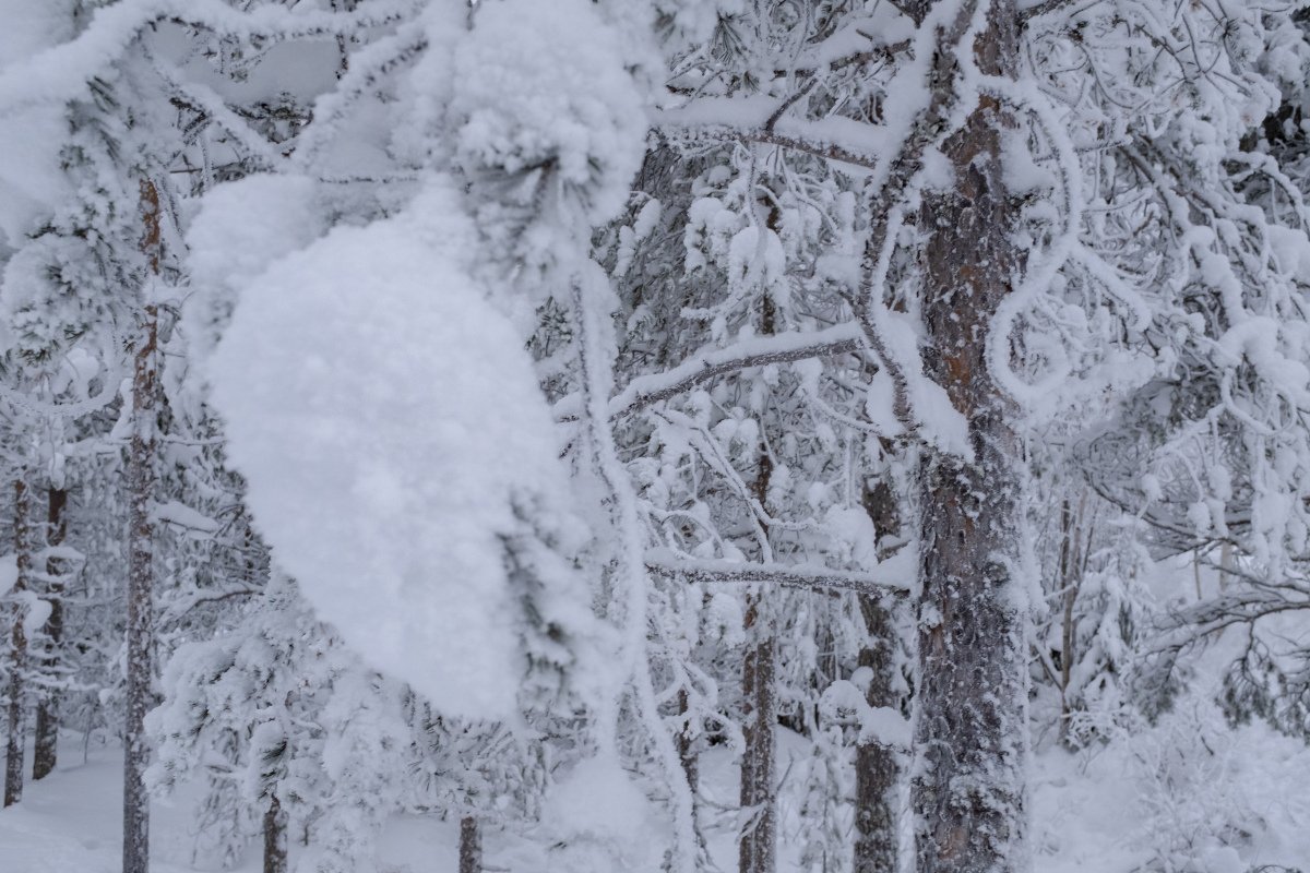 霰是暴雪前的征兆吗