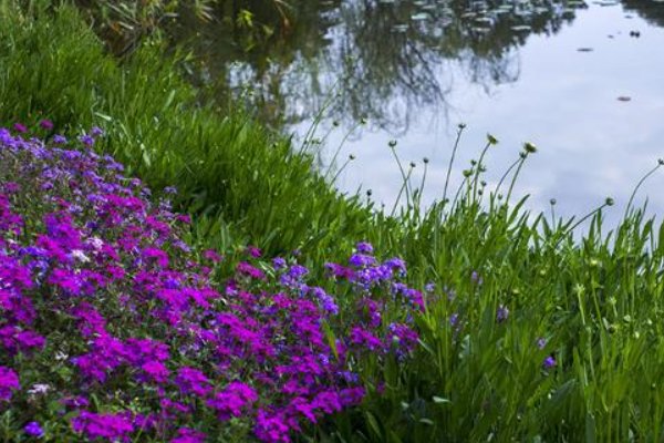 馥郁近义词和反义词