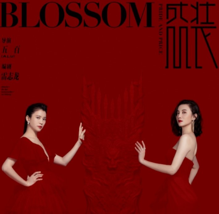 盛装剧情介绍大结局