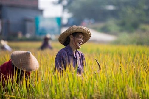 不得违背农民意愿强迫农民上楼,这是什么意思呢?