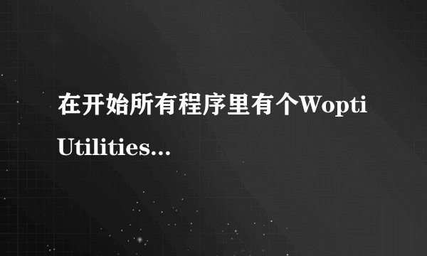 在开始所有程序里有个Wopti Utilities 但是在控制面版 添加删除程序里确没有，无法卸载怎么办