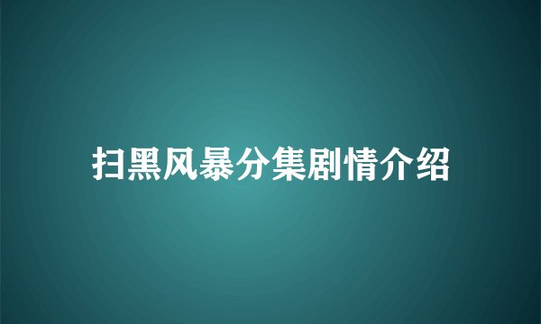 扫黑风暴分集剧情介绍