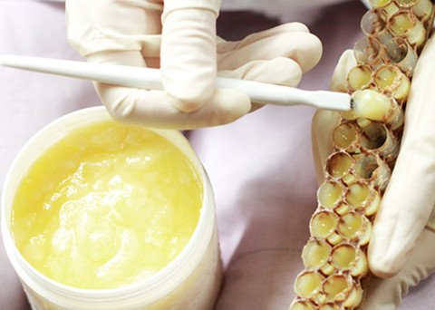 蜂王浆的营养成分有哪些