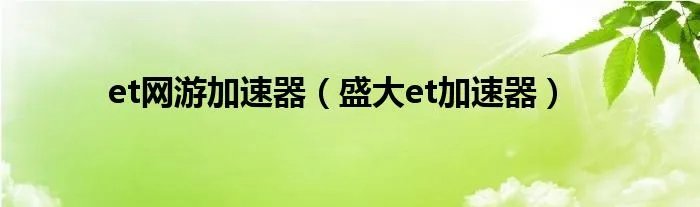 et网游加速器（盛大et加速器）