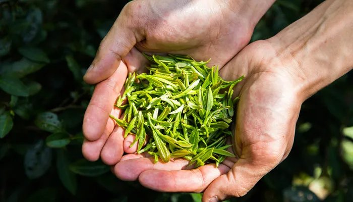 杀青是什么意思 杀青代表什么