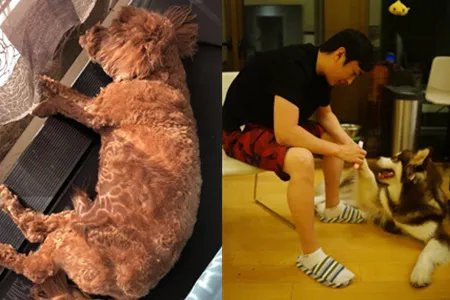 谢杏芳谈林丹出轨 言语平静似已无心结