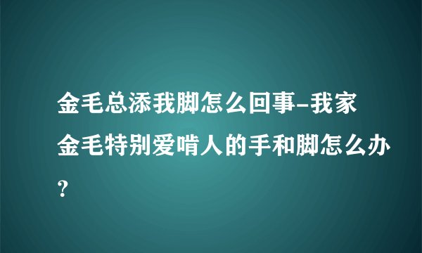 金毛总添我脚怎么回事-我家金毛特别爱啃人的手和脚怎么办？