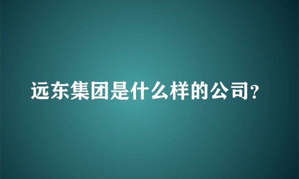 远东集团是什么样的公司?