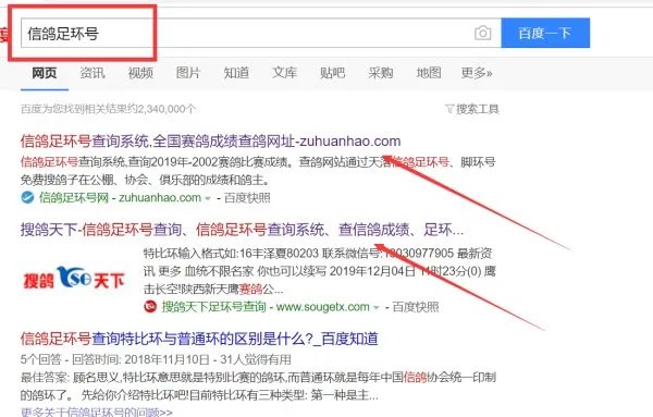 信鸽足环号查询