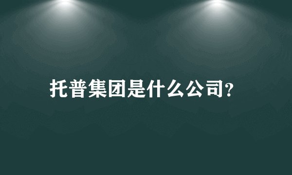 托普集团是什么公司？