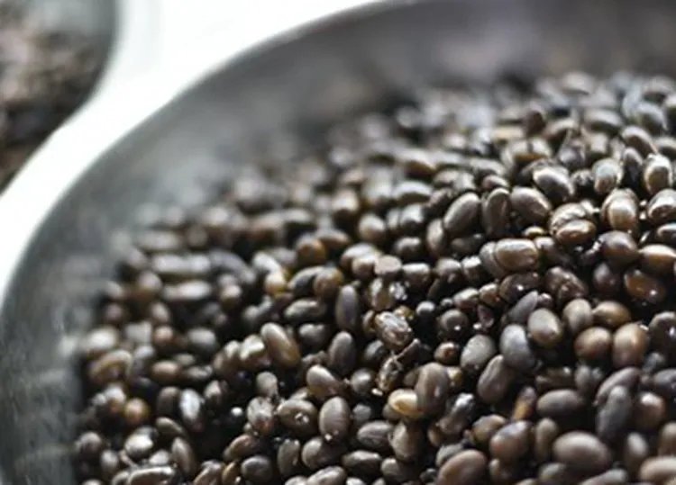 黑豆的功效与作用