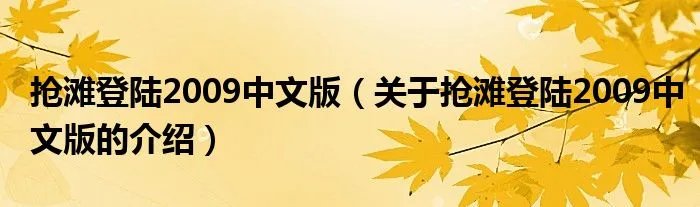 抢滩登陆2009中文版(关于抢滩登陆2009中文版的介绍)