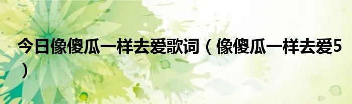 今日像傻瓜一样去爱歌词（像傻瓜一样去爱5）