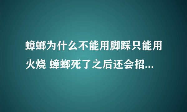 蟑螂为什么不能用脚踩只能用火烧 蟑螂死了之后还会招别的蟑螂来吗