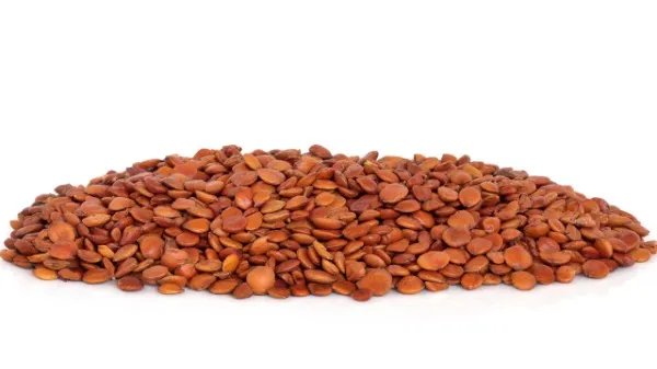 酸枣仁怎样吃治失眠最有效 什么人不适合吃酸枣仁