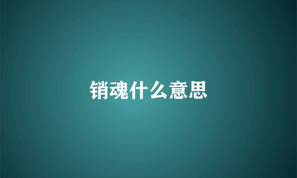 销魂什么意思