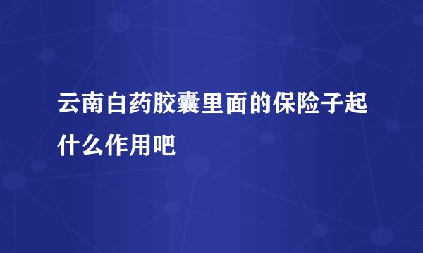 云南白药胶囊里面的保险子起什么作用吧