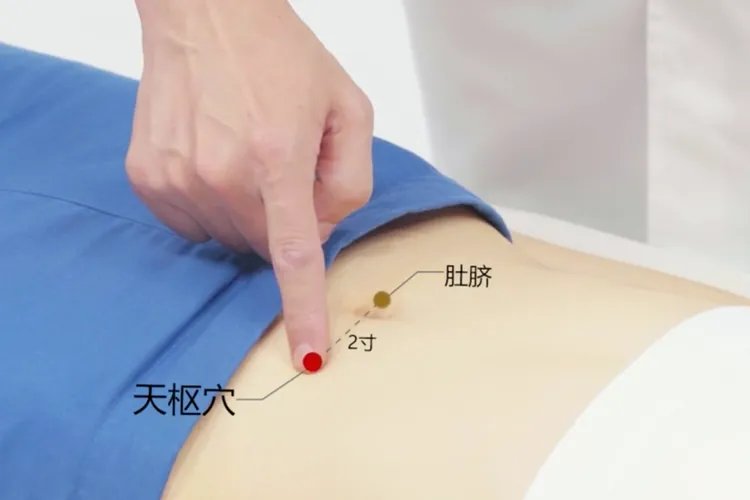 三伏贴治便秘贴哪里图解