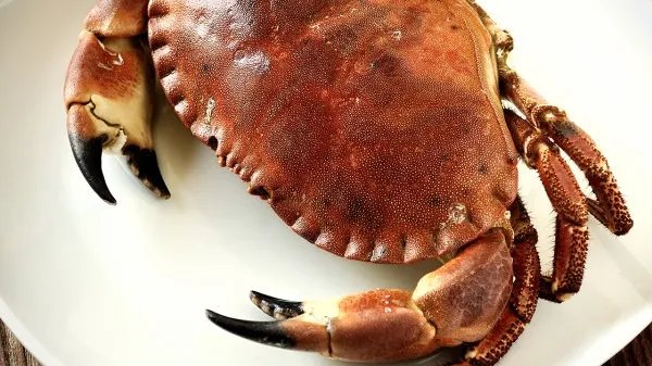 医生建议1顿饭吃螃蟹不超过2只,女子吃完紧急入院具体啥情况