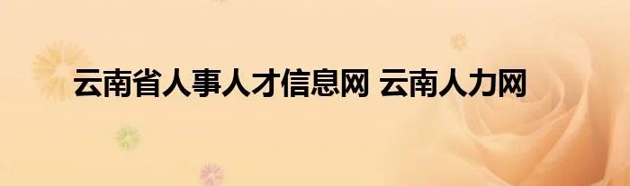 云南省人事人才信息网 云南人力网