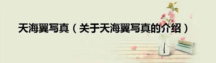 天海翼写真（关于天海翼写真的介绍）