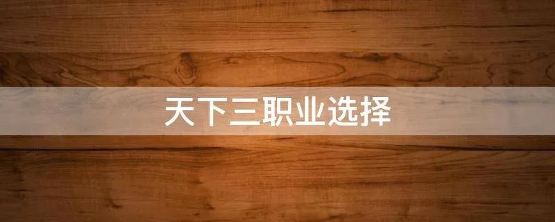天下三职业选择