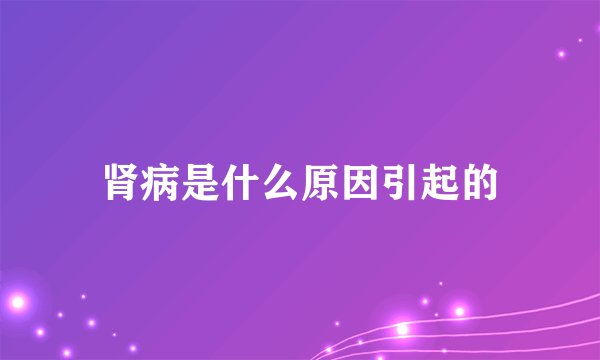 肾病是什么原因引起的