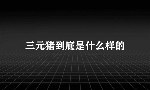三元猪到底是什么样的