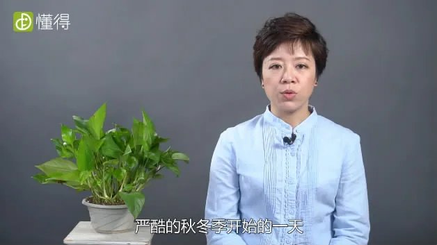 万圣节是几月几日