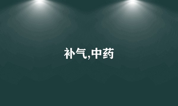 补气,中药