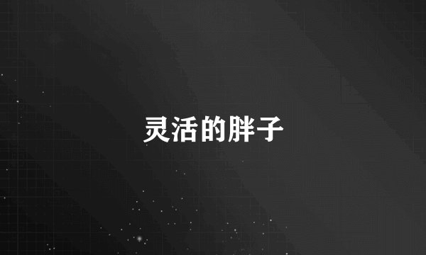 灵活的胖子
