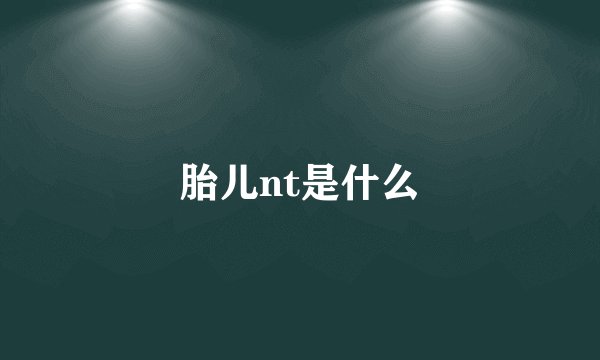 胎儿nt是什么