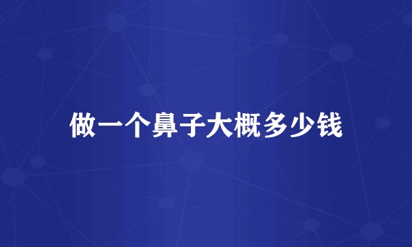 做一个鼻子大概多少钱