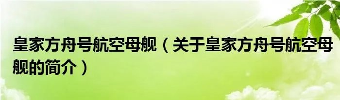皇家方舟号航空母舰（关于皇家方舟号航空母舰的简介）