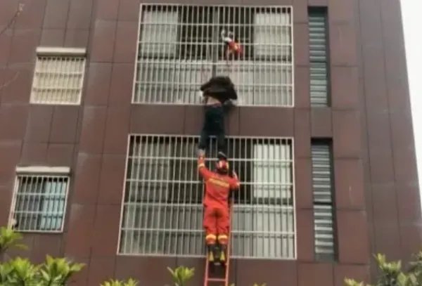 七旬老人悬挂四楼阳台外,这到底是怎么回事呢?