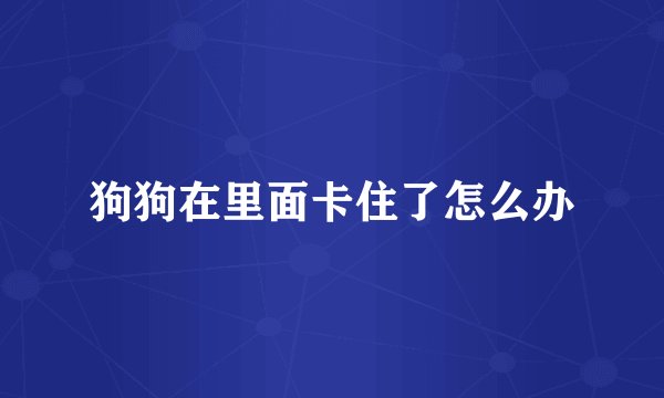 狗狗在里面卡住了怎么办