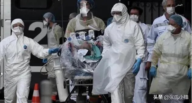 变乱家庭小说阅读