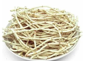 鱼腥草图片及食用方法