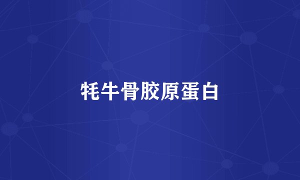 牦牛骨胶原蛋白