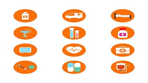 秋葵的功效与作用禁忌