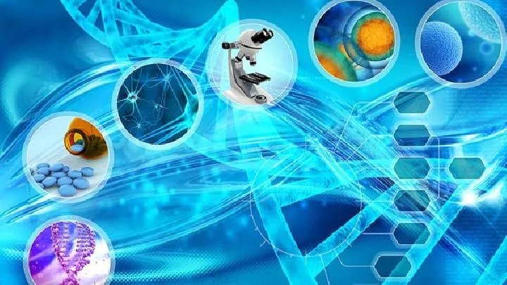 贫血的一些危害