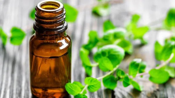 藿香正气水怎么样